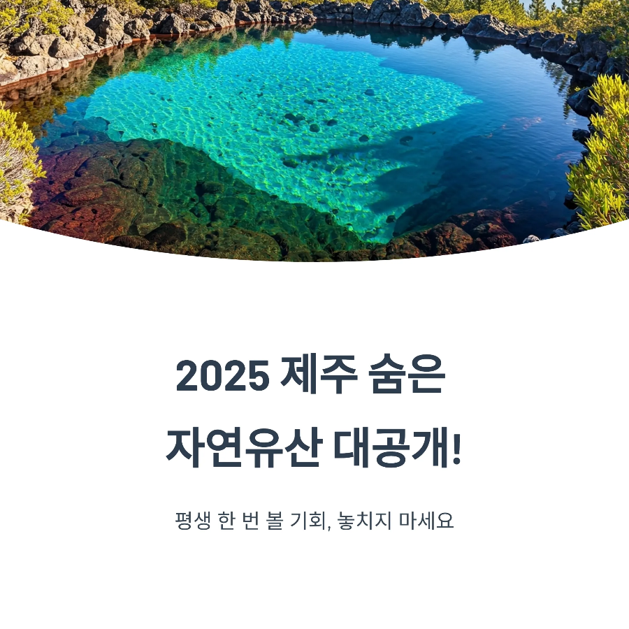 제주 세계유산축전 일정 2025｜백록샘·김녕굴 예약 방법 총정리