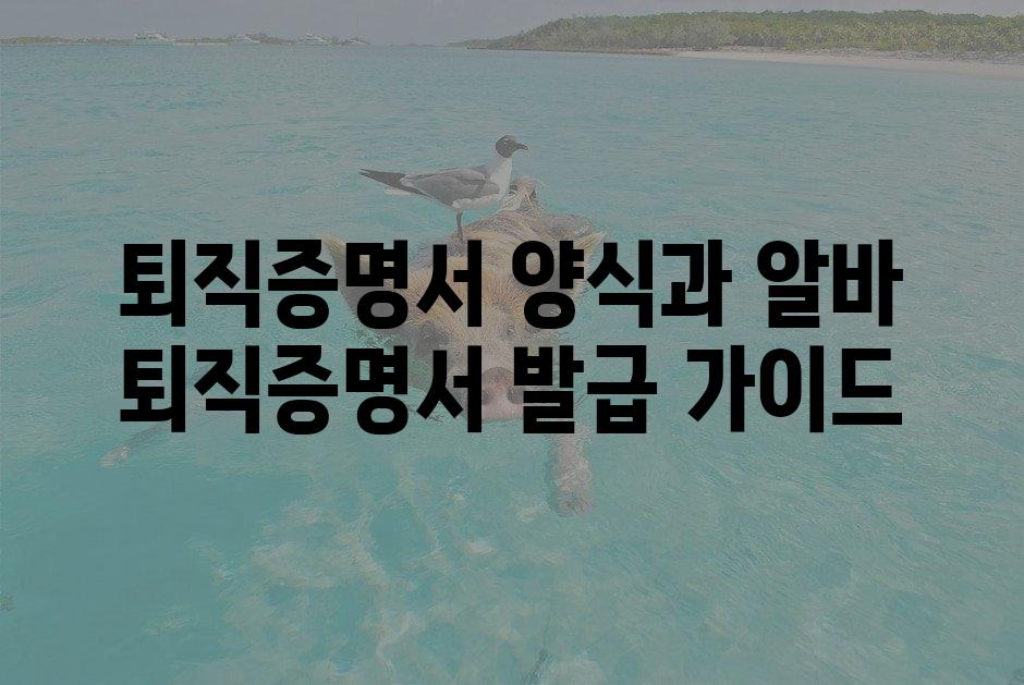 샘플 (1)