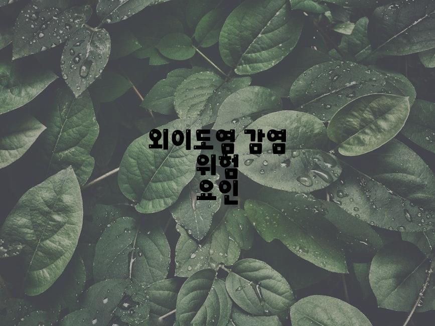 외이도염 감염 위험 요인