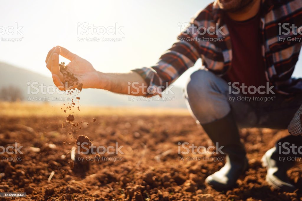  건강을 위해서 흙을 밟아라!