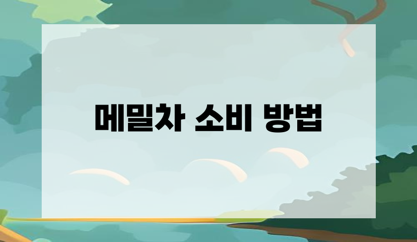 메밀차 소비 방법