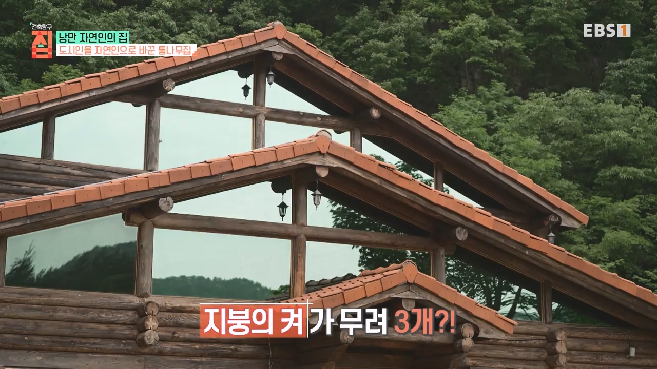 TV - 전 국민의 평생학교 EBS낭만자연인의 집.mp4_20230823_205707.640.jpg