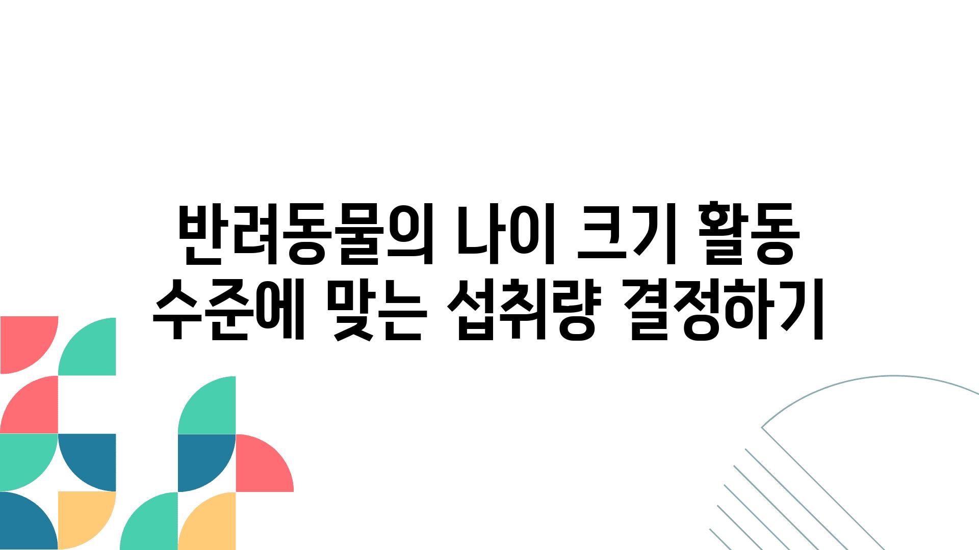 반려동물의 나이 크기 활동 수준에 맞는 섭취량 결정하기