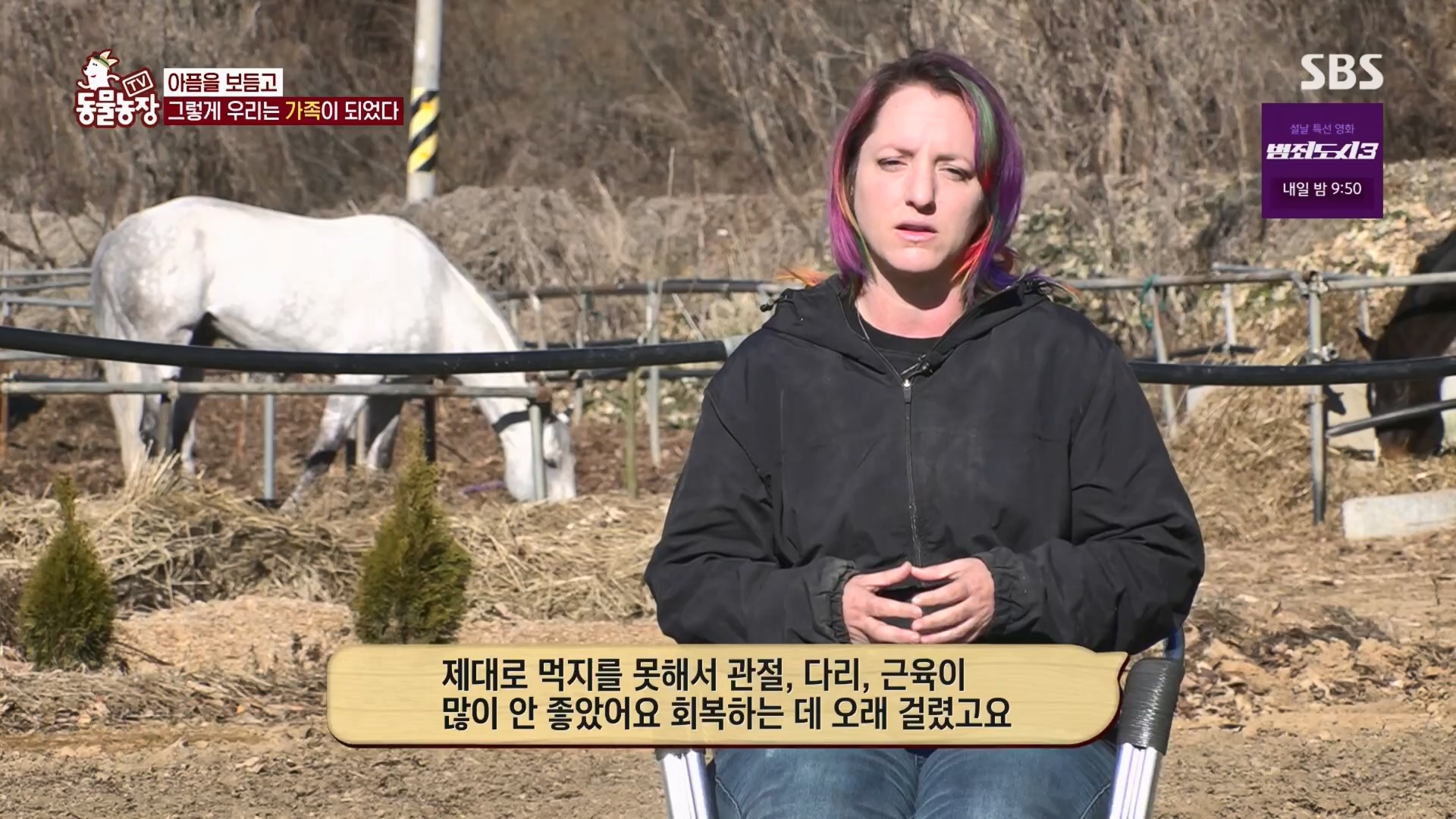 TV 동물농장.E1158.240211p.H264-F1RST.mp4_20240211_194056.324.jpg