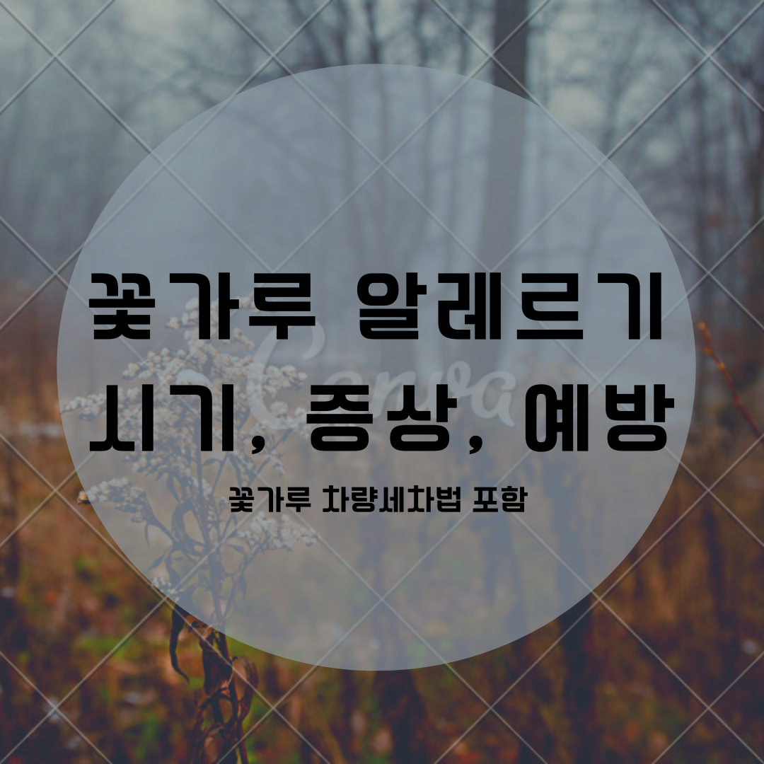  꽃가루농도위험지수가 알려주는 꽃가루 날리는 시기?