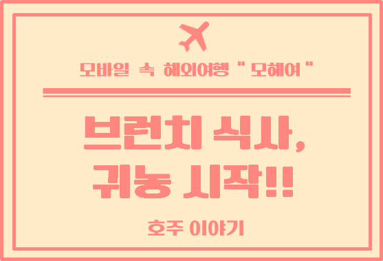 호주 일상 : 선버리 카페 Brown cow cafe, 귀농 시작, 인테리어 소품 구매하기