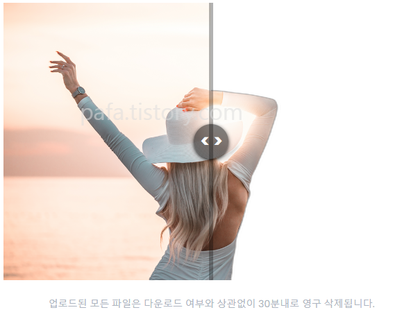 중앙의 화살표를 드래그하여 원본 이미지와 배경을 제거한 이미지를 볼 수 있다