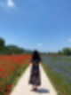 꽃양귀비 [ 울산 여행 ] 한 폭의 수채화♥ 양귀비와 54
