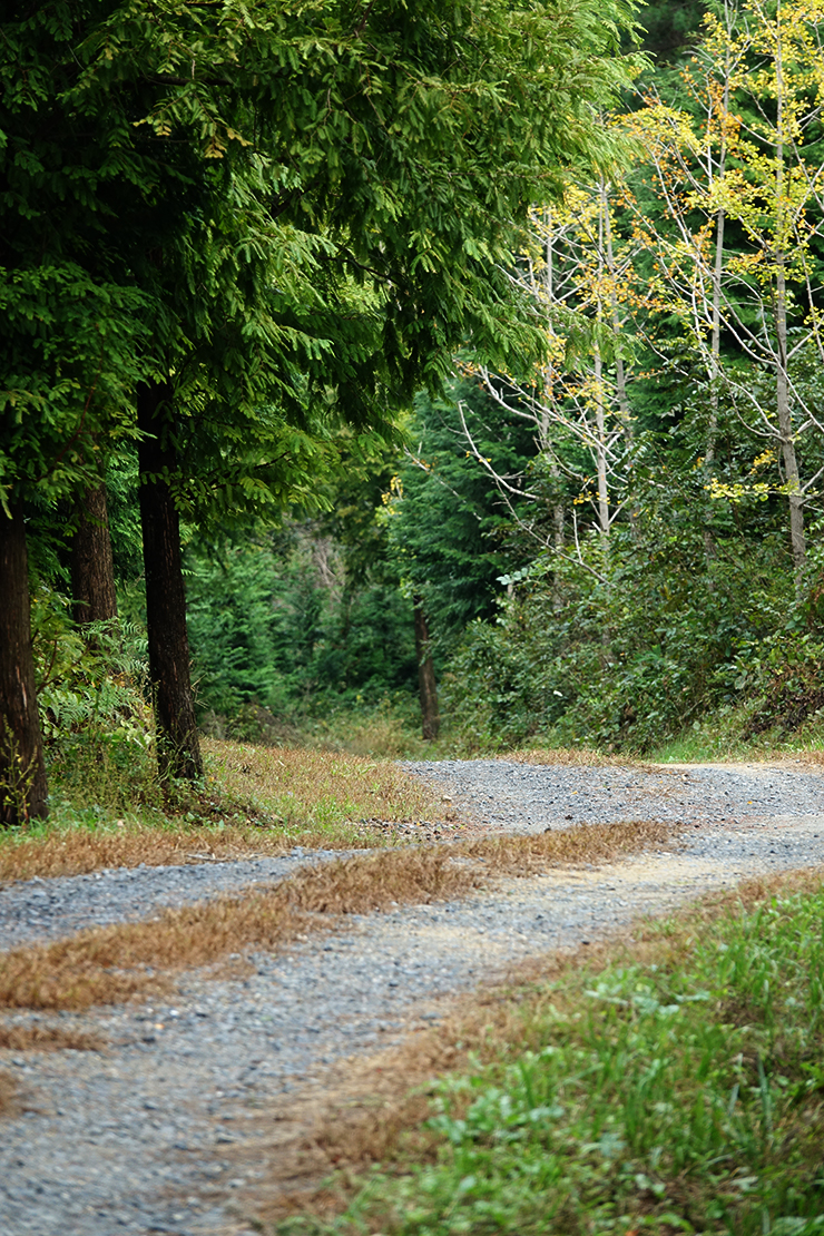 충남 걷기 좋은 숲길 국내여행 걷기 좋은 길, 32