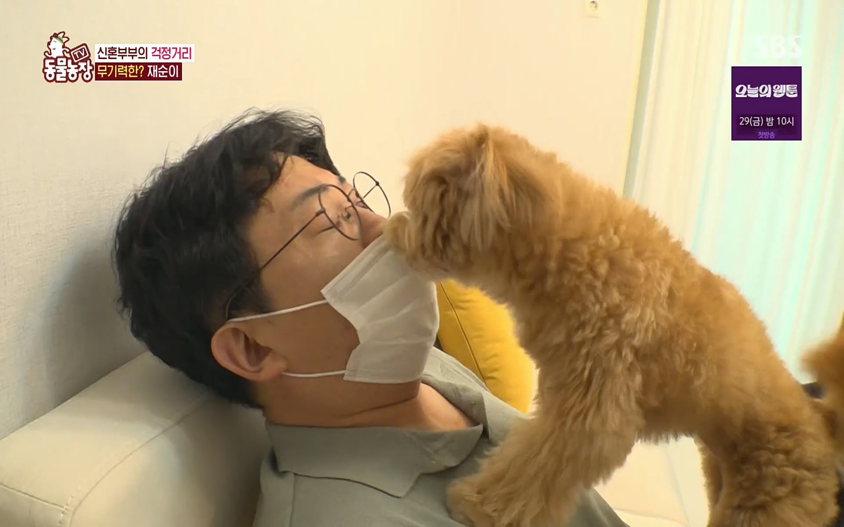 TV 동물농장.E1078.220717p.H264-F1RST.mp4_20220717_151133.148.jpg