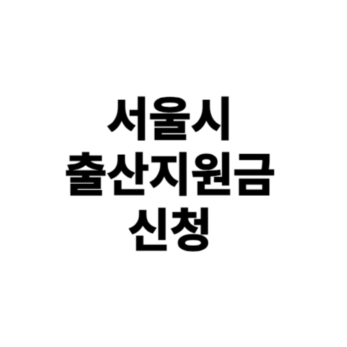 서울시 출산지원금 신청방법 자격 대상