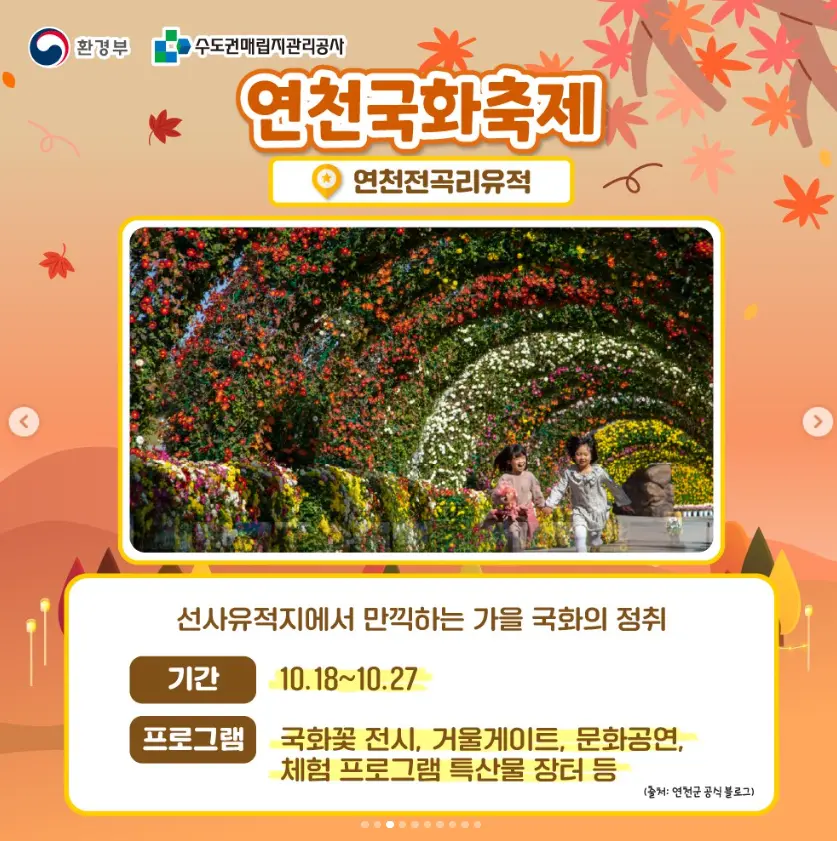 2024 드림파크 국화축제 초대가수 교통편