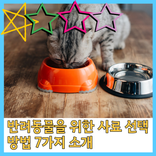  반려동물을 위한 사료 선택 방법 7가지 소개