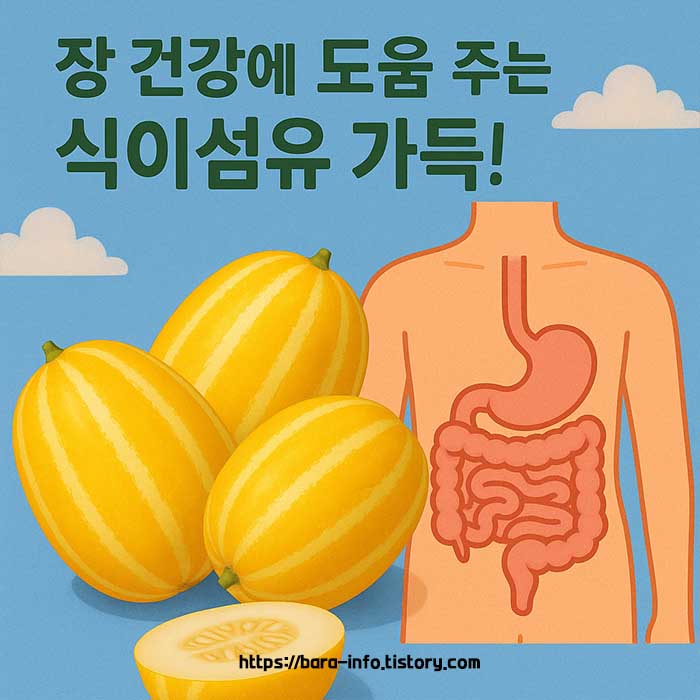 참외 그림