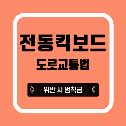  전동 킥보드 도로교통법