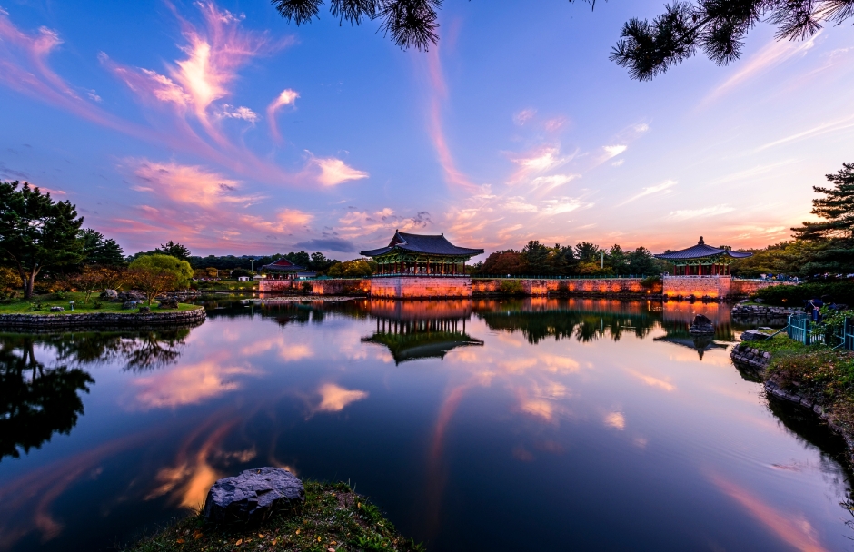 경주 벚꽃명소