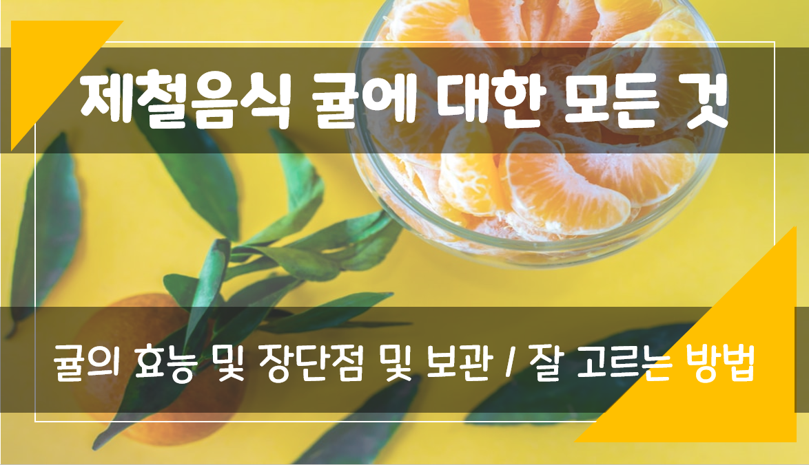  가을 겨울 제철과일 귤 효능 영양소 귤의 장단점, 귤 보관 잘고르는 법