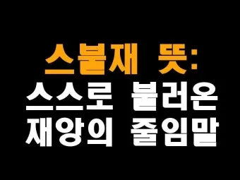 스불재 뜻 예시 의미 사용법_21