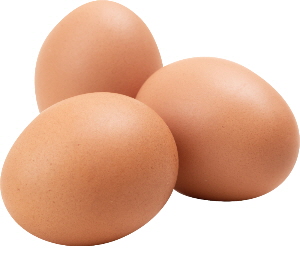 계란 달걀