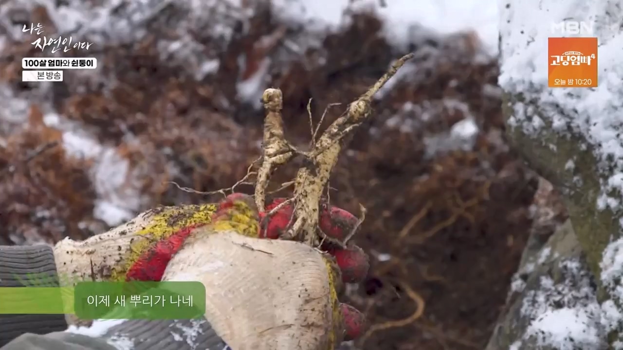 나는 자연인이다.E597.240314p-NEXT.mp4_20240314_195523.526.jpg