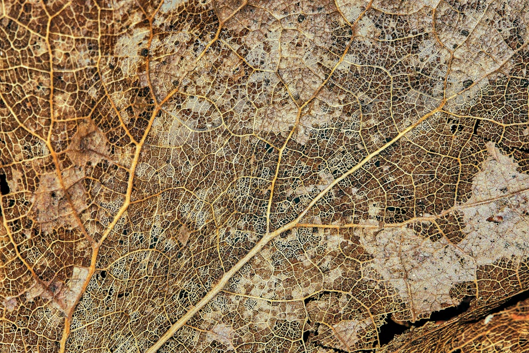 Geospatial