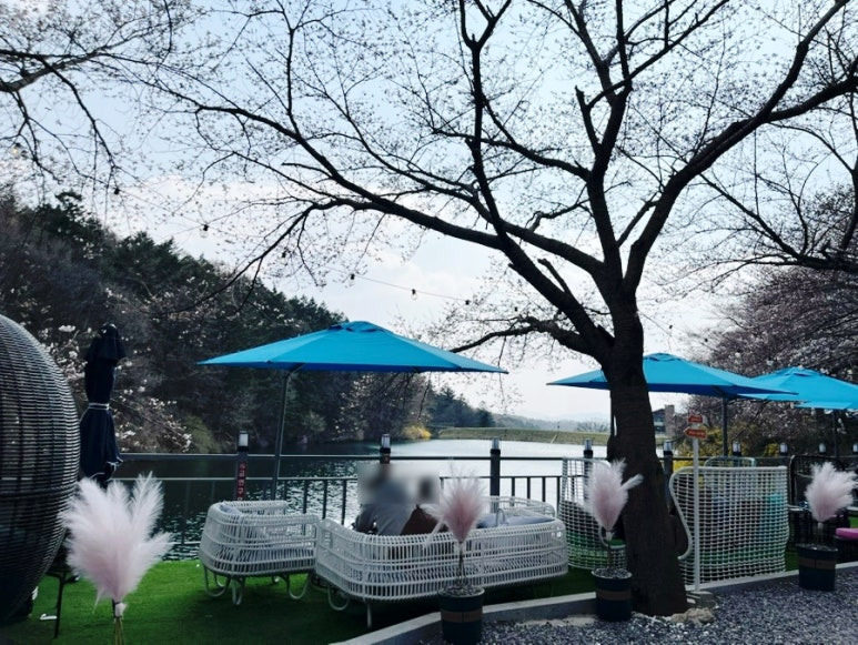용인처인구대형카페
