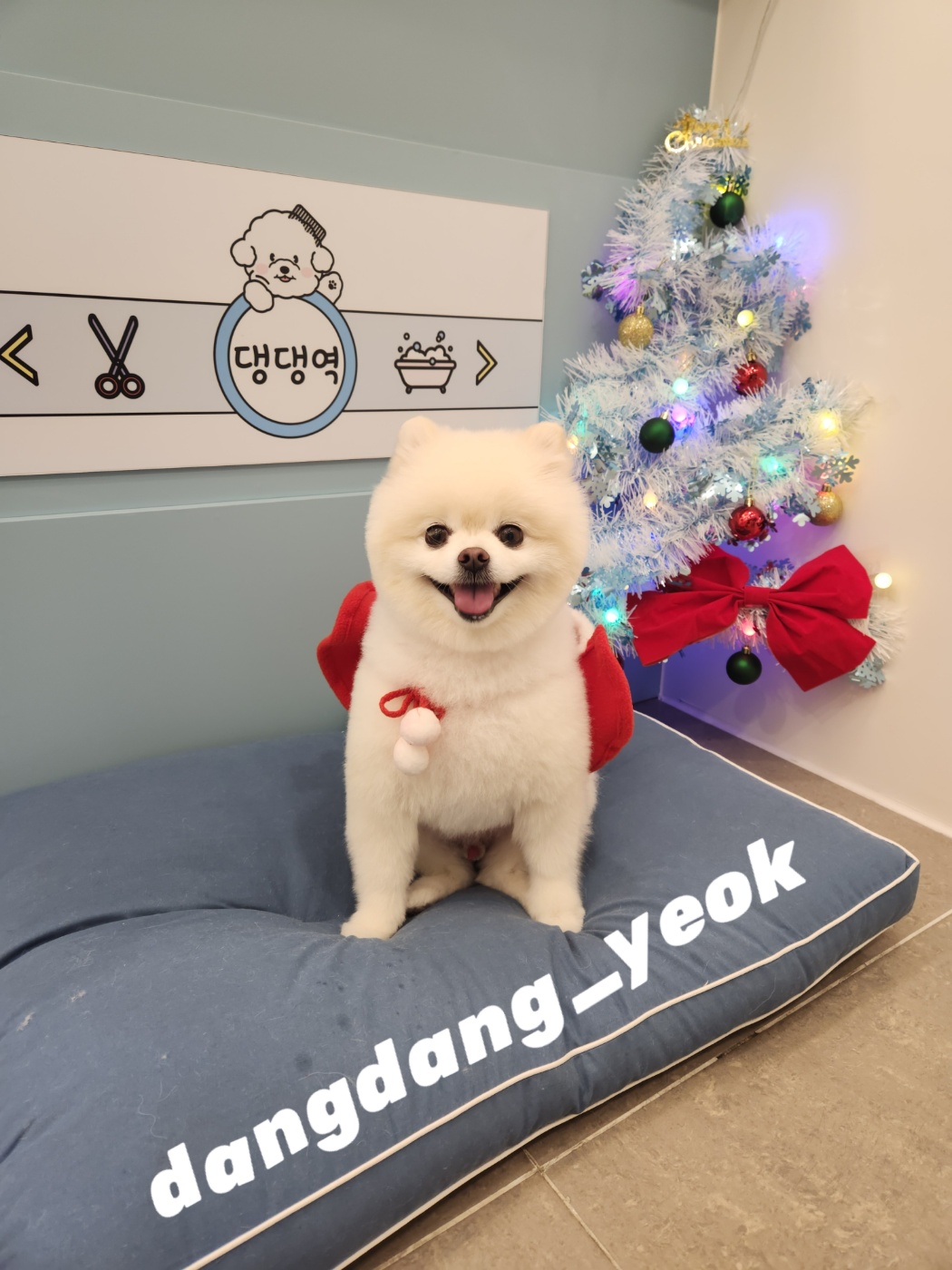 두리미용실 이미지