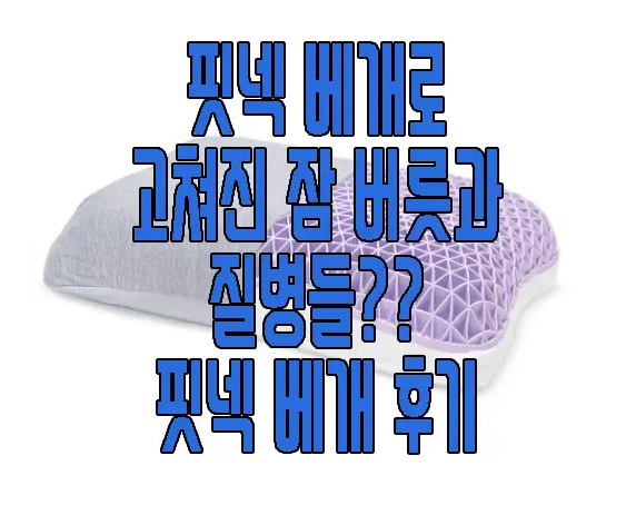 핏넥 베개에 관한 글 보러 가기 링키 사진