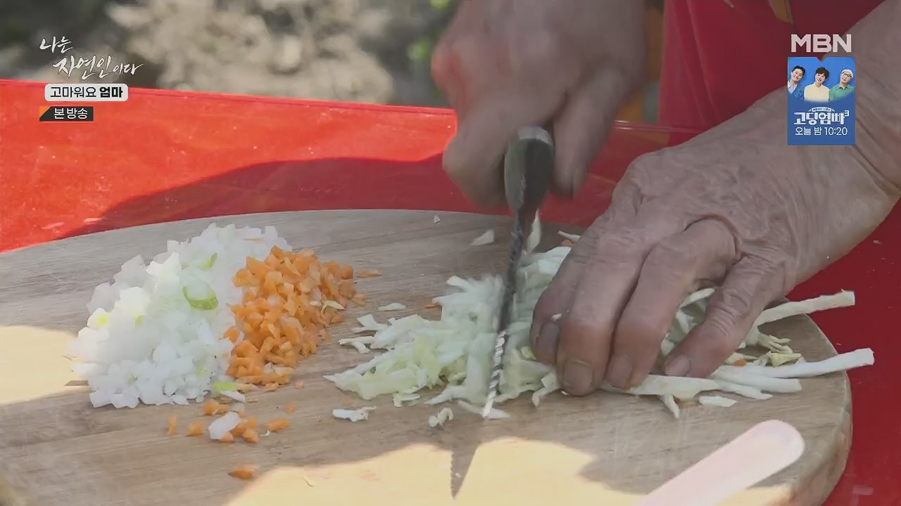 나는 자연인이다.E554.230518p.H264-F1RST.mp4_20230518_194511.331.jpg