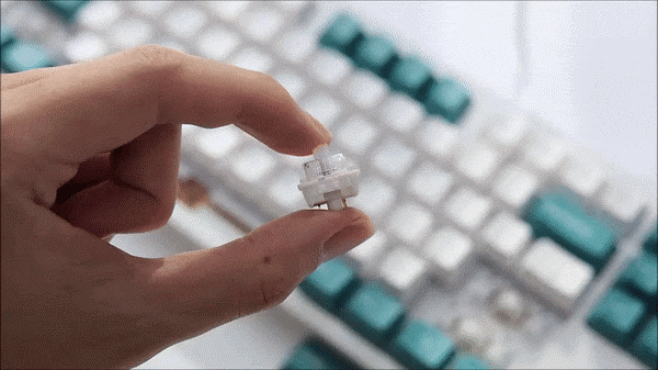 CK01 PBT SL 내돈내산 후기 가성비 저소음 키보드, 콕스 9