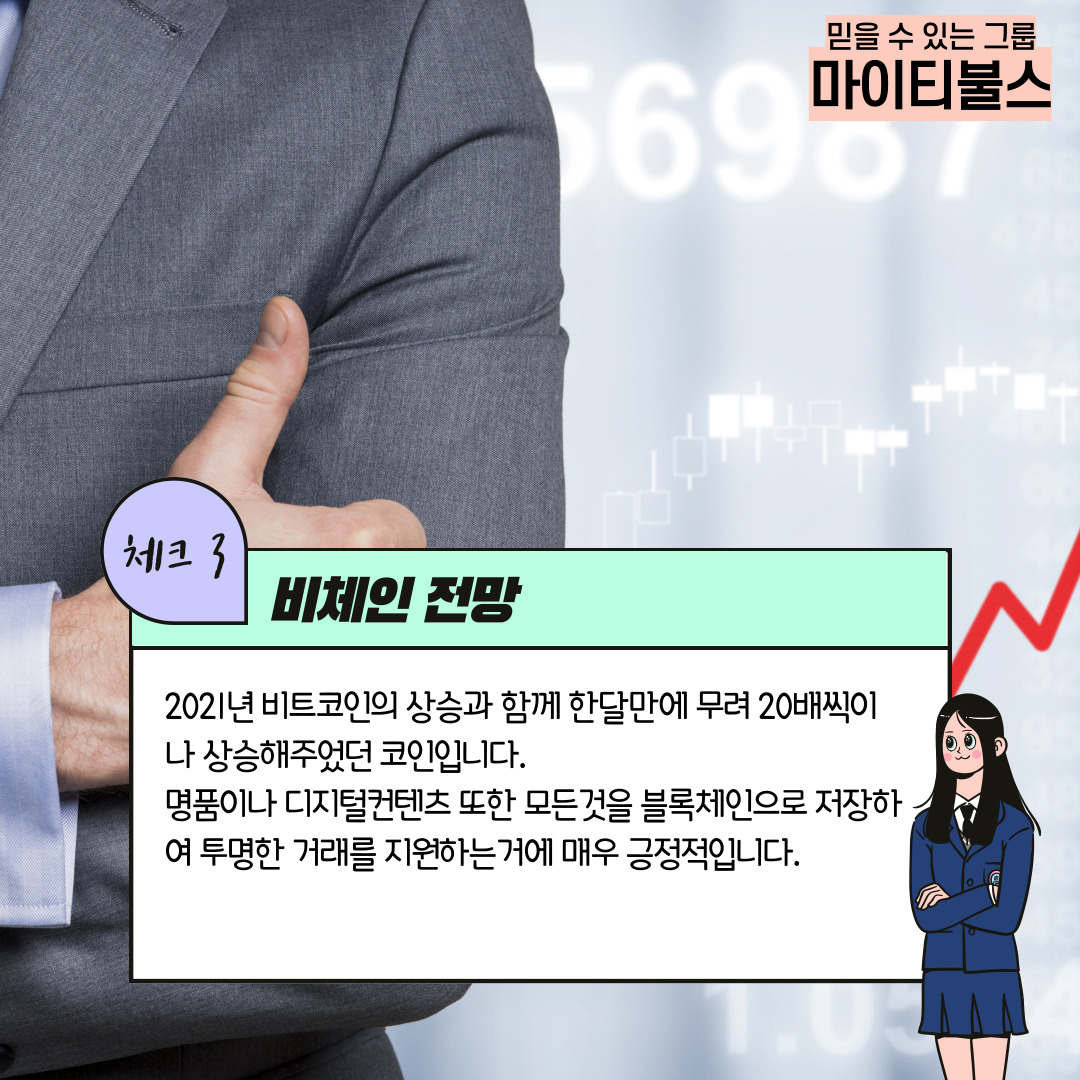 비체인7