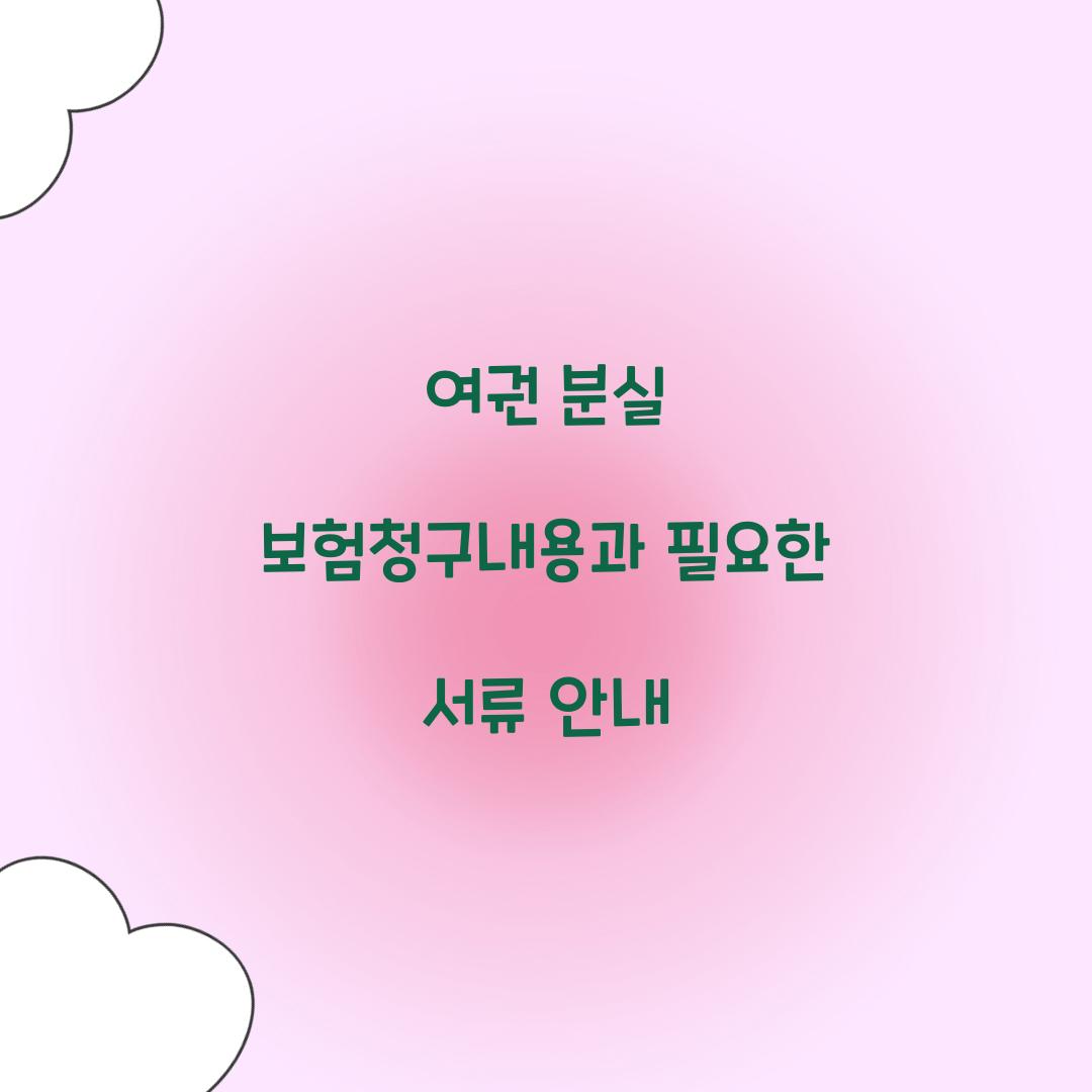 여권 분실 보험청구내용