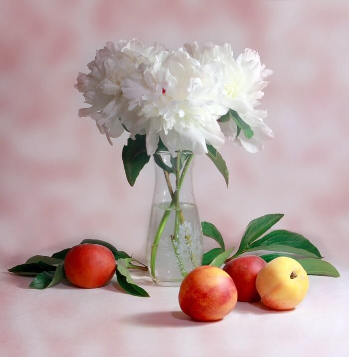 꽃병에 담긴 하얀꽃과 테이블 위에 놓여있는 몇개의 자두