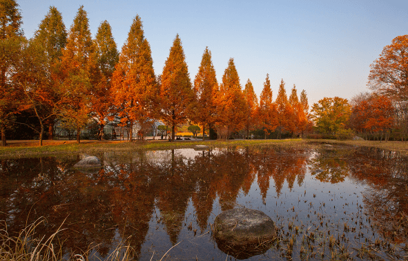 경기도 단풍명소