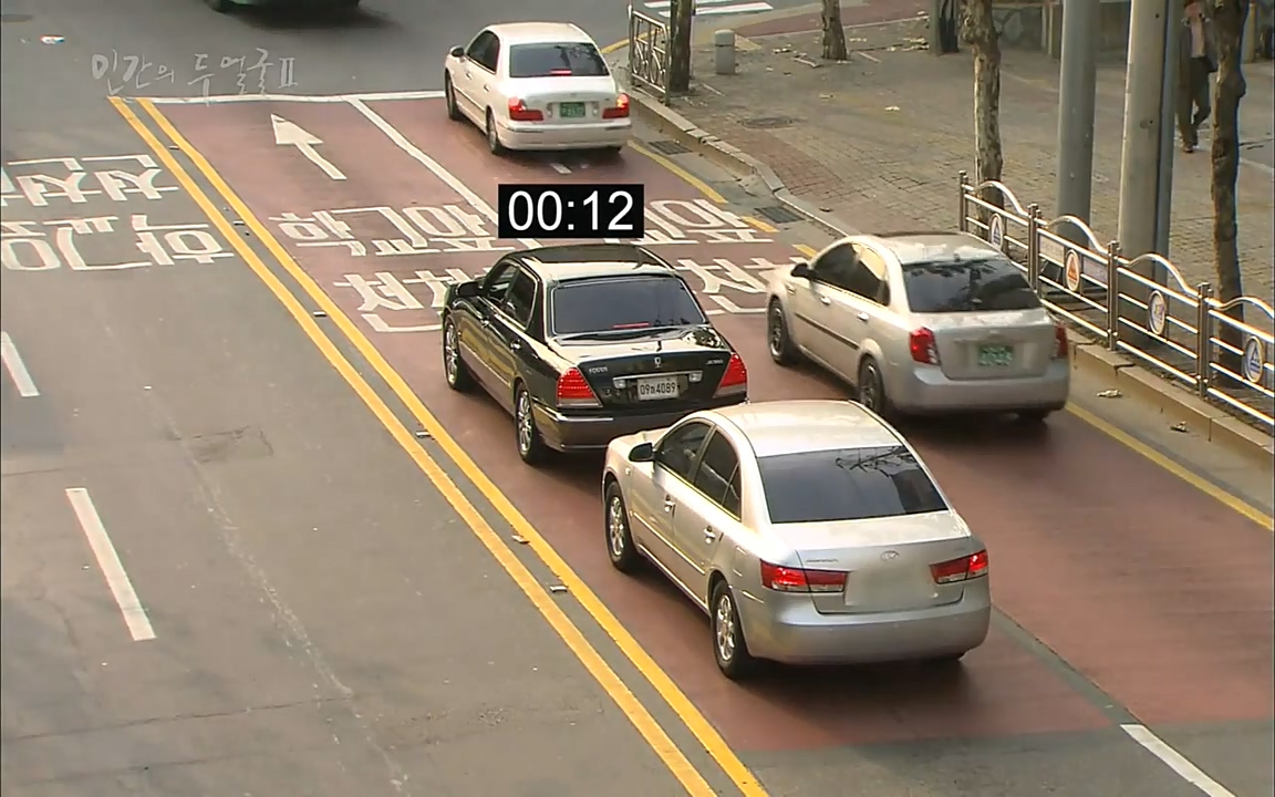 EBS 다큐프라임 - Docuprime, 인간의 두 얼굴2 제2부 아름다운 세상.mp4_20220608_212227.556.jpg