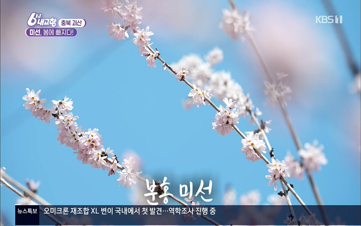 6시 내고향.E7509.220413p.H264-F1RST.mp4_20220418_191733.214.jpg