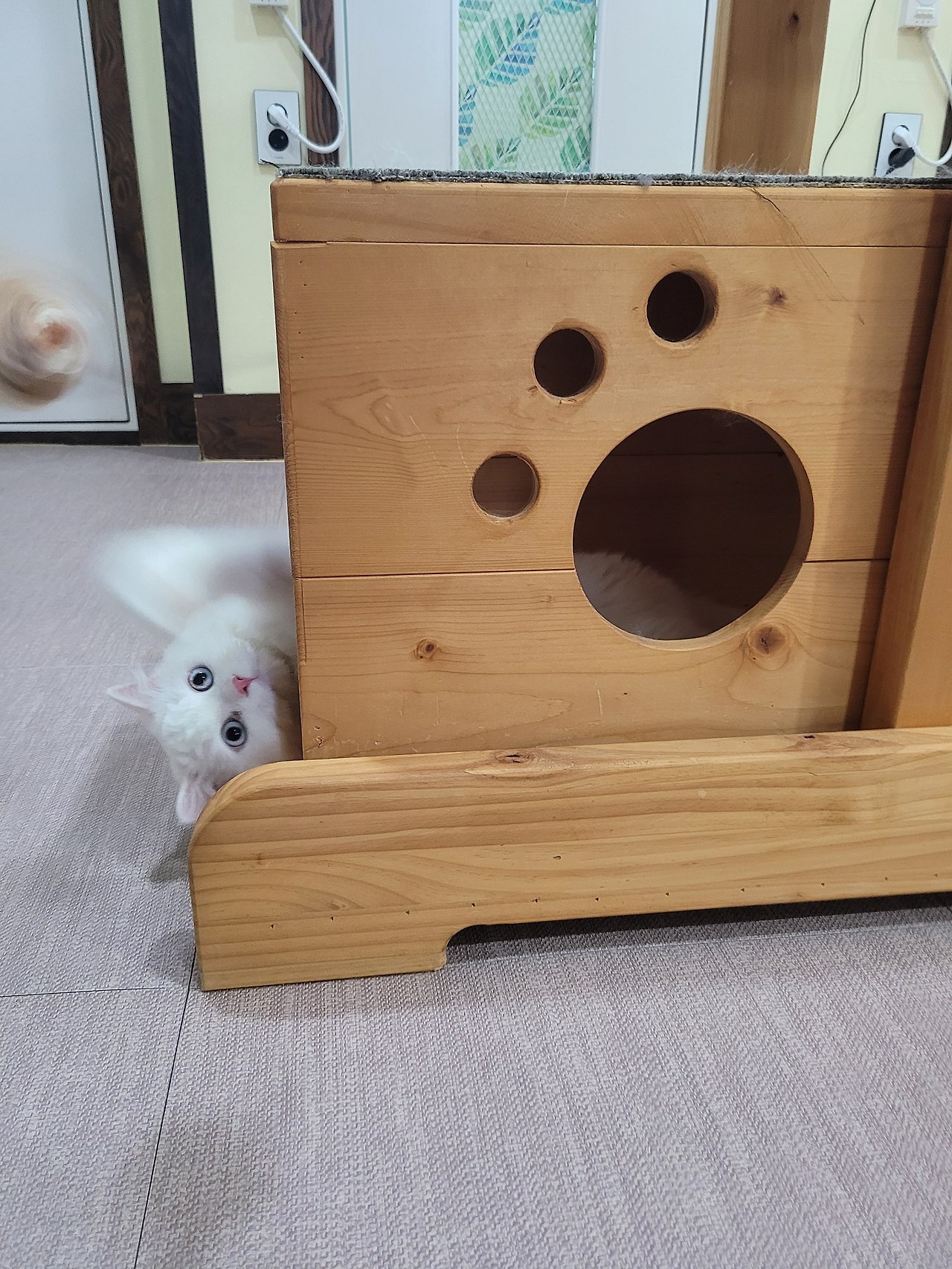 호텔하루 이미지