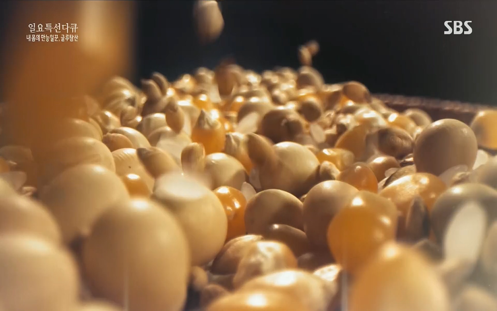 일요 특선 다큐멘터리.E283.220717p.H264-F1RST.mp4_20220718_202903.324.jpg