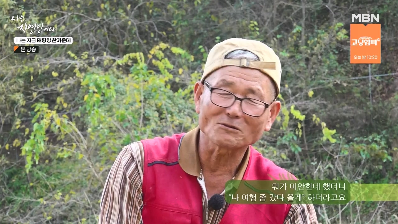 나는 자연인이다.E581.231123p-NEXT.mp4_20231123_200718.475.jpg