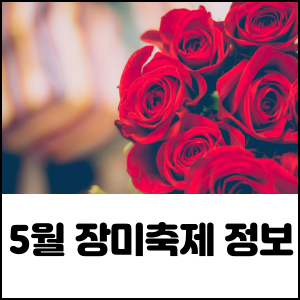 장미꽃핀집 이미지