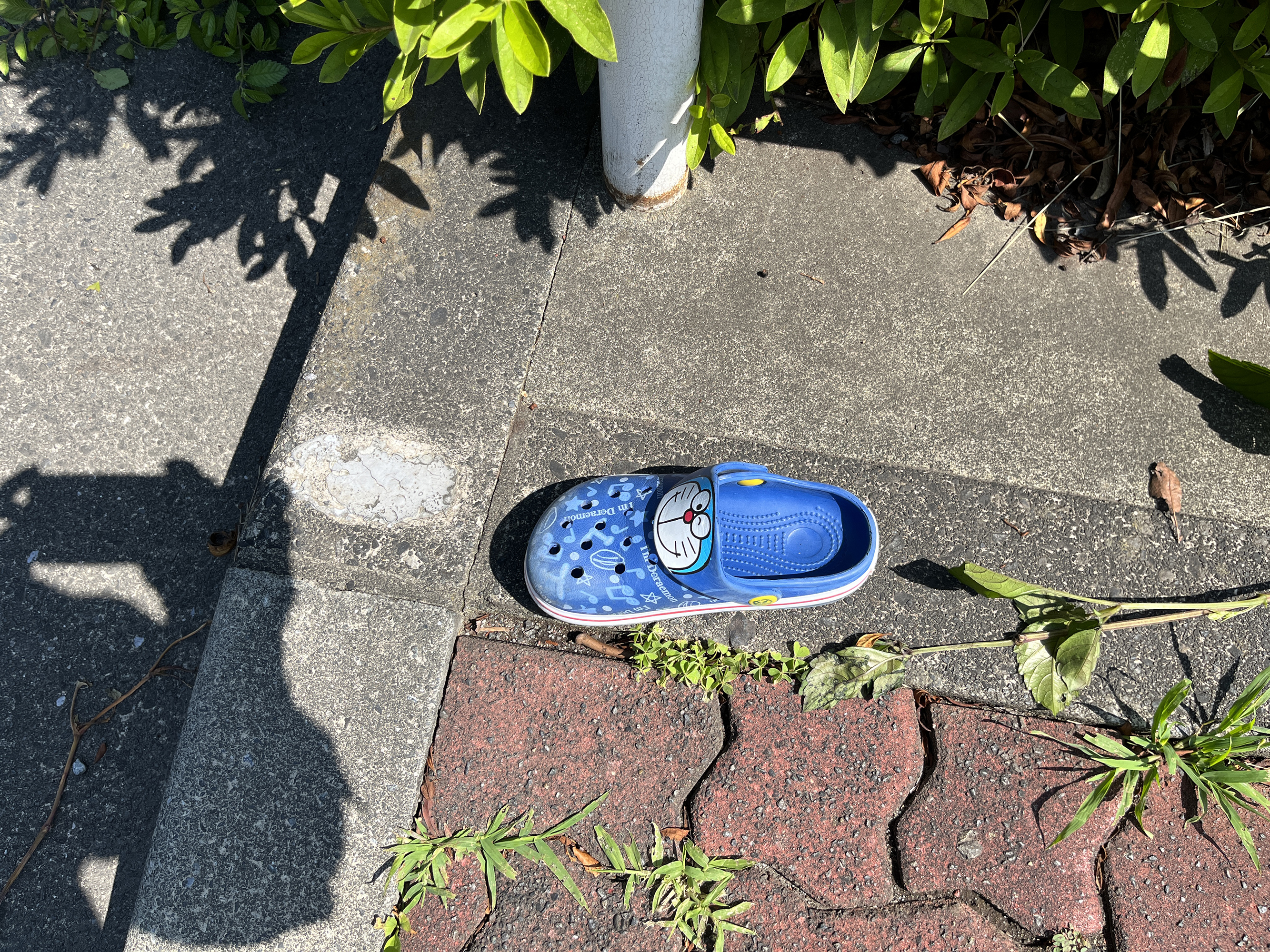 일본 길거리에 버려진 아가야 신발