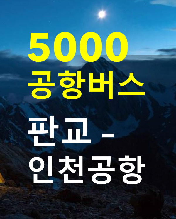  판교에서 인천공항 버스 타기 5000번 공항리무진 / 노선도, 시간표, 요금, 버스타고 앱으로 예약하기