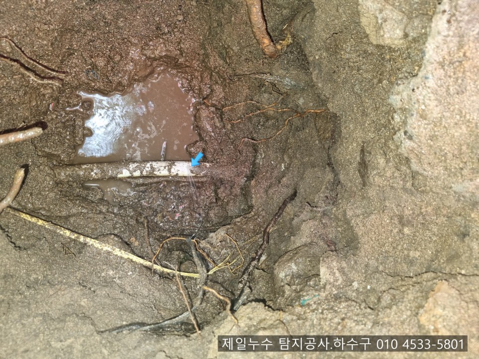 약목누수 제일누수 탐지공사.하수구 칠곡군 약목면 남계리 1층 단독주택 누수현장