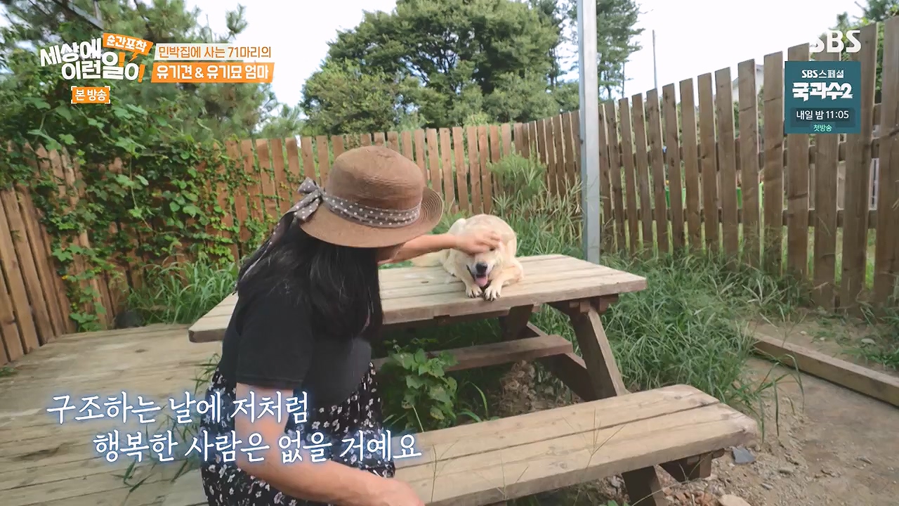 순간포착 세상에 이런일이.E1244.230903p-NEXT.mp4_20230903_173257.084.jpg