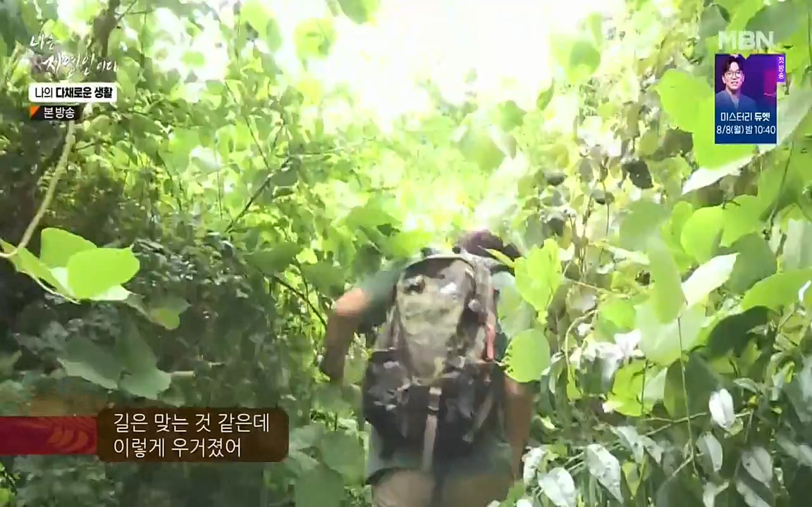 나는 자연인이다.E513.220804p-NEXT.mp4_20220804_201948.741.jpg