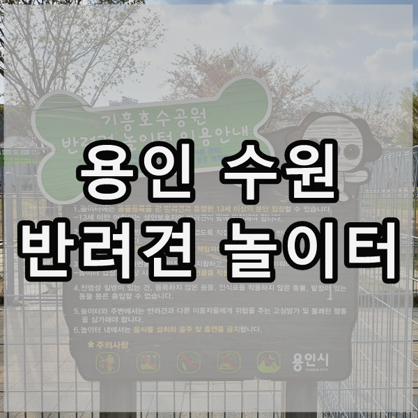  반려견 놀이터, 야외 애견놀이터 @기흥호수공원 용인 수원