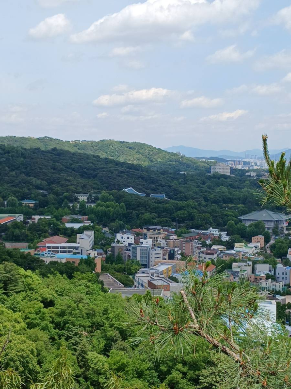무무대에서 바라본 청와대