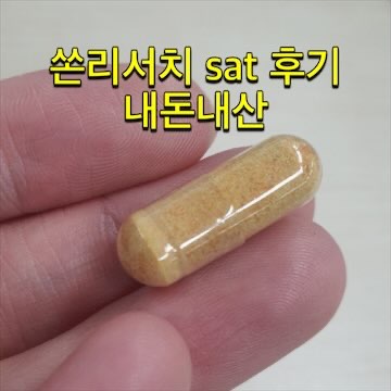 쏜리서치-sat-내돈내산-후기