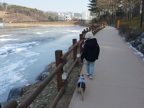 아들 준범이와 반려견 해피가 이천 설봉공원 산책로를 함께 산책하는 모습