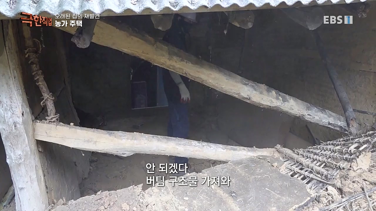 TV - 교육의 중심 EBS오래된 집의 재발견 농가와 도심 주택.mp4_20221120_151954.975.jpg